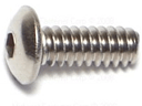 6-32 .25 inch Stainless Steel hex/button head screws (10 pack)